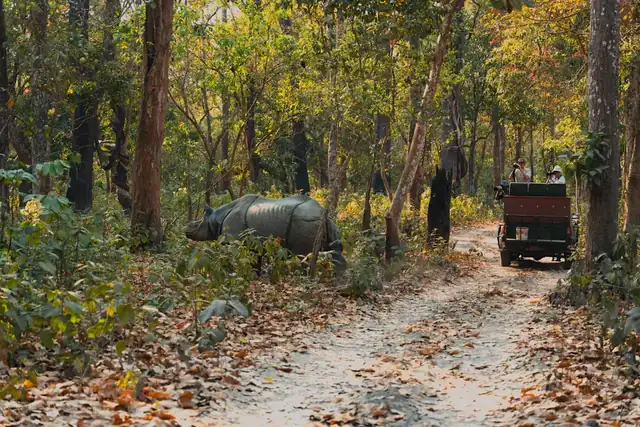 Chitwan National Park Safari