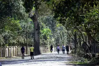 Chitwan National Park Safari — photo 4