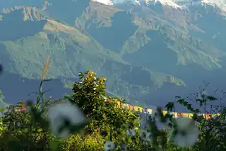 Pokhara Nature School Program — photo 2