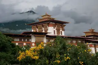 Gangtey Valley Trek — photo 5
