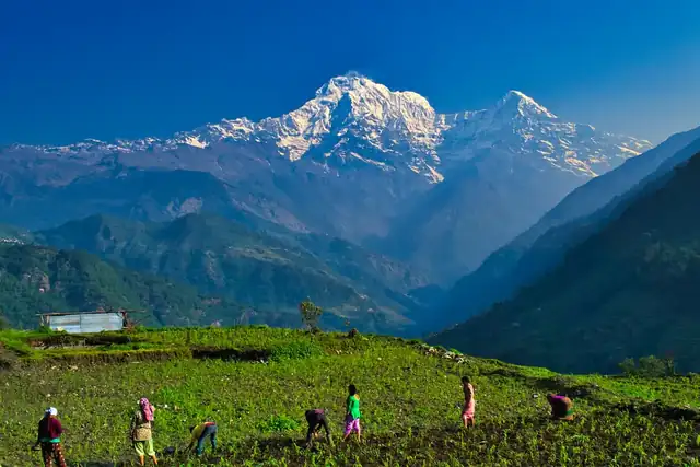 Ghorepani Poon Hill Trek