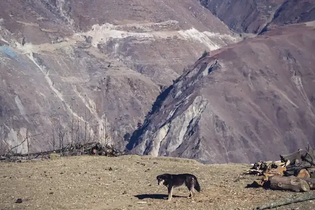 Upper Dolpo Trek