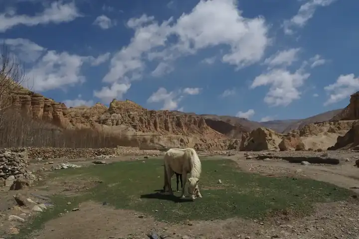 Upper Mustang Jeep Tour β photo 1