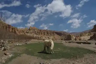 Upper Mustang Trek — photo 4